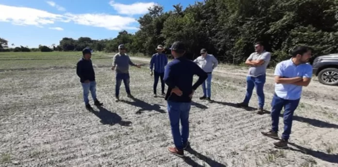 Regional_Venezuela_AAPRESID