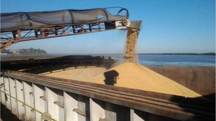 Exportaciones_Soja