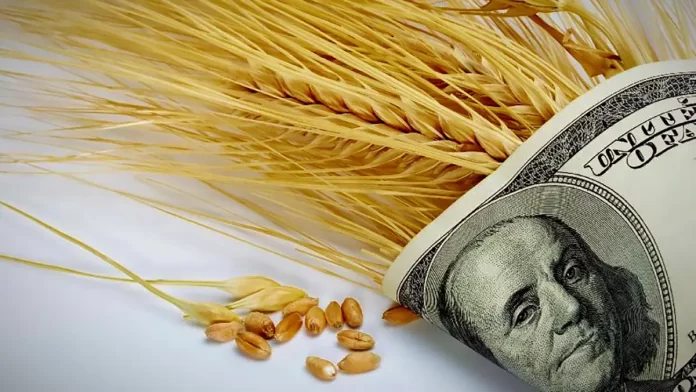 Trigo_Dolar