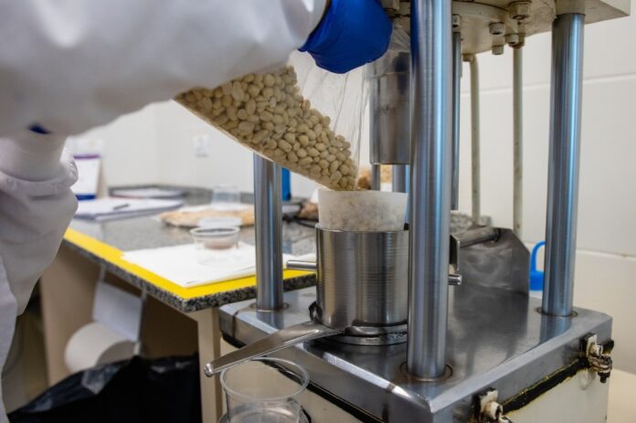 WhatsApp-Image-2025-08-13-at-12.28.08