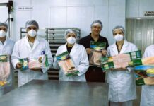 Misiones: tras el éxito del pacú, las exportaciones de dorado y surubí consiguieron entrar a Brasil