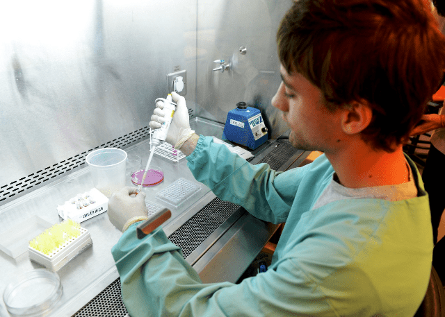 APROBACIONES-VARIEDADES-OGM-1