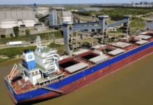 Argentina concretó el primer embarque de trigo a China después de 30 años