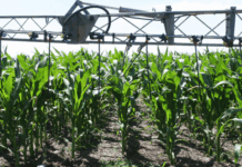 La importación de fertilizantes creció 19% en los primeros 10 meses de 2025