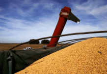 Leve mejora en los ingresos del productor por la rebaja de 2% las retenciones