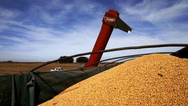 Granos-Senasa-exportaciones (1)