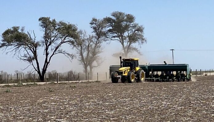 arrendamiento-de-campos-1024x584