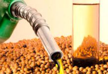 El agro argentino avanza con buenas perspectivas