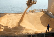 Las DJVE de noviembre tuvieron el mejor desempeño de los últimos 5 años