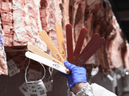 Una cámara de la industria cárnica asegura que la faena en Buenos Aires cayó 13%