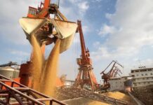 La agroexportación ingresó solo 760 mill/dol en noviembre (el más bajo en 7 años)