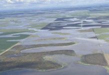 Declaran la Emergencia Agropecuaria por inundaciones en provincia de Buenos Aires