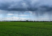 ¿Cómo actuarán las lluvias entre navidad y año nuevo?