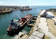 Las exportaciones agroindustriales crecieron 36% en volumen