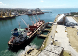 Las exportaciones agroindustriales crecieron 36% en volumen