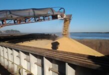 La rebaja de retenciones reduciría en 511 mill/dol la recaudación, pero mejora precios y da incentivos para producir