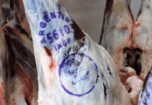 Después de 19 años,Entre Ríos reanudó la exportación de carne ovina hacia Medio Oriente
