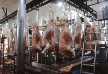 Carne vacuna: la SRA expuso su posición sobre la decisión de China