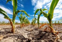 EnBio vuelve con un nuevo formato