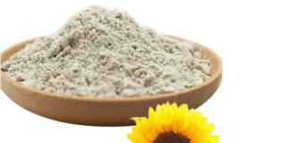 Fuerte crecimiento de la exportación de harina de girasol