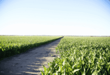 La Provincia impulsa el Seguro Multirriesgo Agrícola