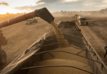 Exportaciones agroindustriales cerraron 2025 con un salto de casi 10%