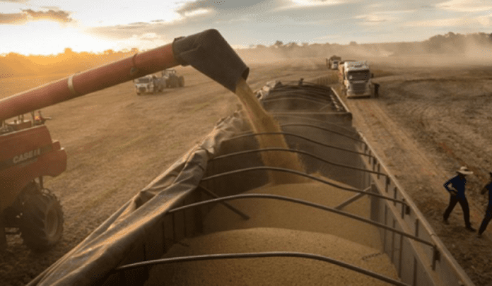 cosecha-agroindustria