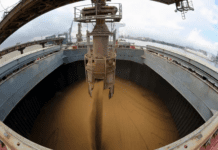 El acuerdo Mercosur–UE fija un plazo de 3 años para eliminar las retenciones argentinas