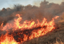Legisladora cuestiona la ausencia de la emergencia ígnea en la Patagonia en el temario de extraordinarias