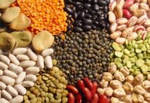 La cadena de legumbres analiza las perspectivas de mercado para 2026