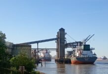 Ingreso de granos al Gran Rosario fue el tercero más alto de la historia y anticipa presión logística en 2026