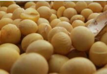 Desde Formosa, arribó a Rosario el Primer lote de soja de la campaña 2025/26