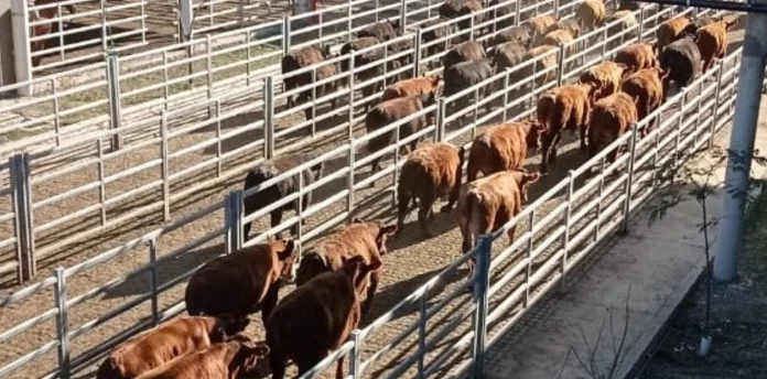 Ingreso_Hacienda_MAG