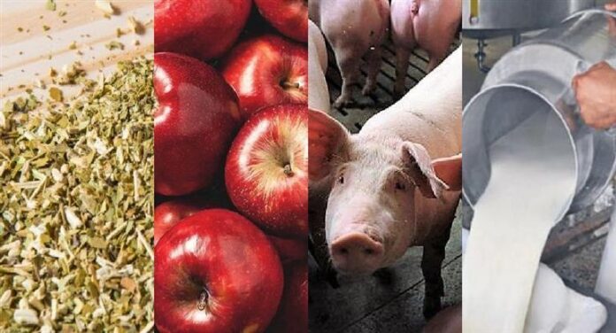 Economias_Regionales