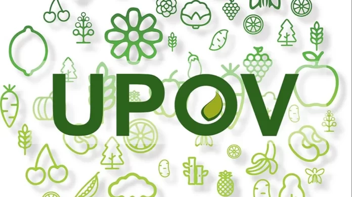 Semillas_UPOV