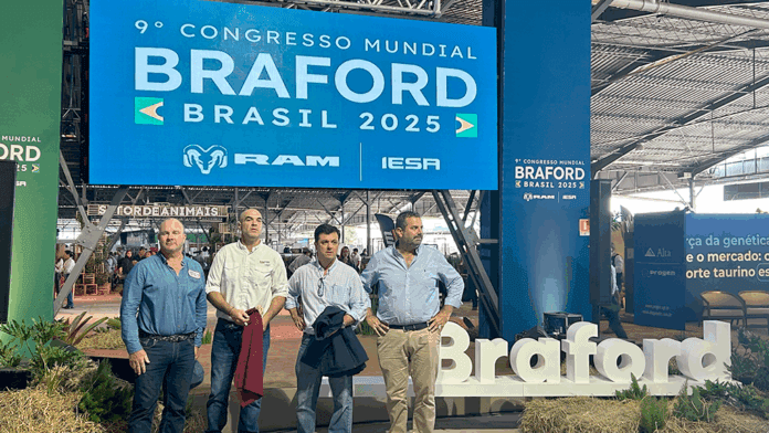 Representantes-Associacoes-Credito-Nestor-Tipa-Junior-AgroEffective-Divulgacao