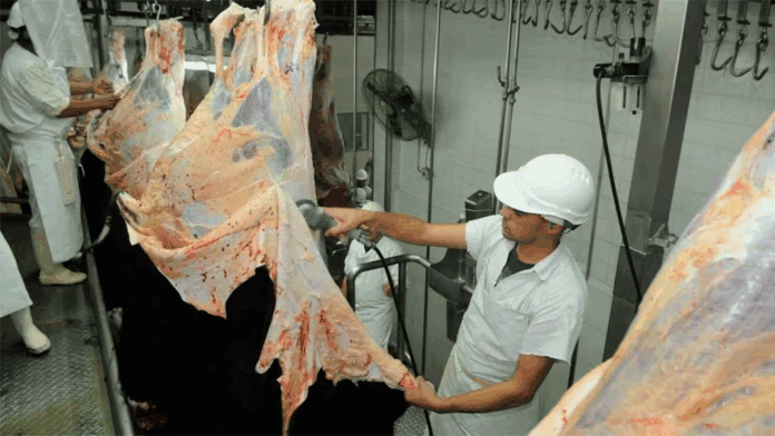 cuero-carne-exportacion