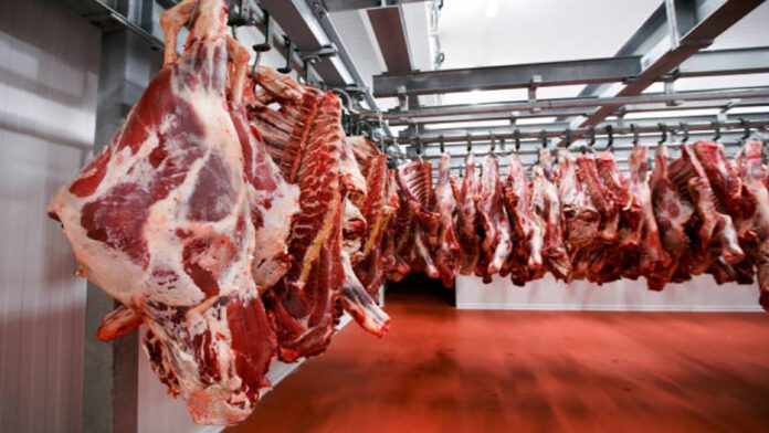 carne-exportacion-20
