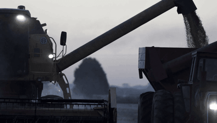 cosechadora-y-tolva-acopiadores