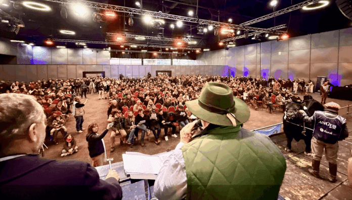 remate-angus-palermo