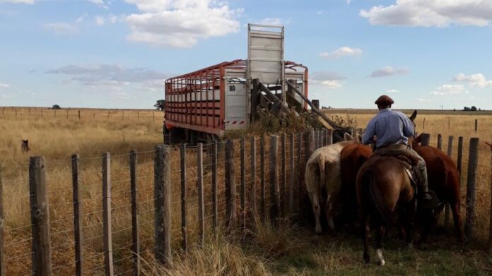 transporte-de-hacienda
