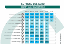 CONINAGRO: Al menos 14 rubros muestran una leve recuperación de la actividad
