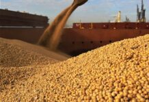 La soja en Rosario alcanzó los $400.000 y acumula una fuerte suba en agosto