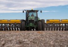 Precios firmes y lluvias generosas reconfiguran la siembra en Córdoba