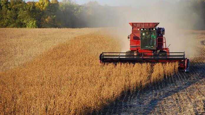 soja-cosecha-campo-arboles