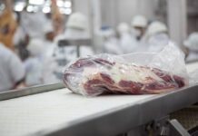 Carnes: En el último tramo del año, Brasil y Australia superarán nuevos récord en exportaciones
