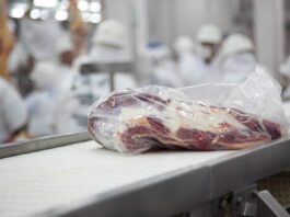 Carnes: En el último tramo del año, Brasil y Australia superarán nuevos récord en exportaciones
