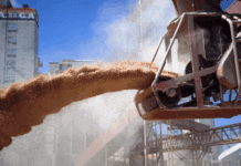 Fuerte caída en la liquidación agroexportadora en octubre