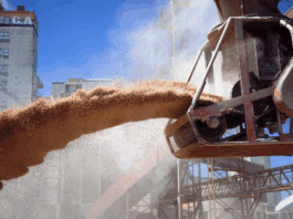 Fuerte caída en la liquidación agroexportadora en octubre