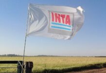 Inta: El Gobierno designó el nuevo Consejo Directivo para la gobernanza del organismo